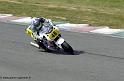 pjaune48