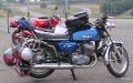 rgvcathe_0289