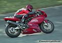 arnos99_n229