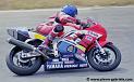 arnos-2000_n198