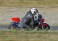 2temps-2009_3724