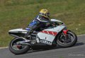 2temps-2009_3411