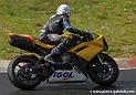 arnos04-2008_1108