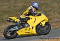 arnos2007_0077