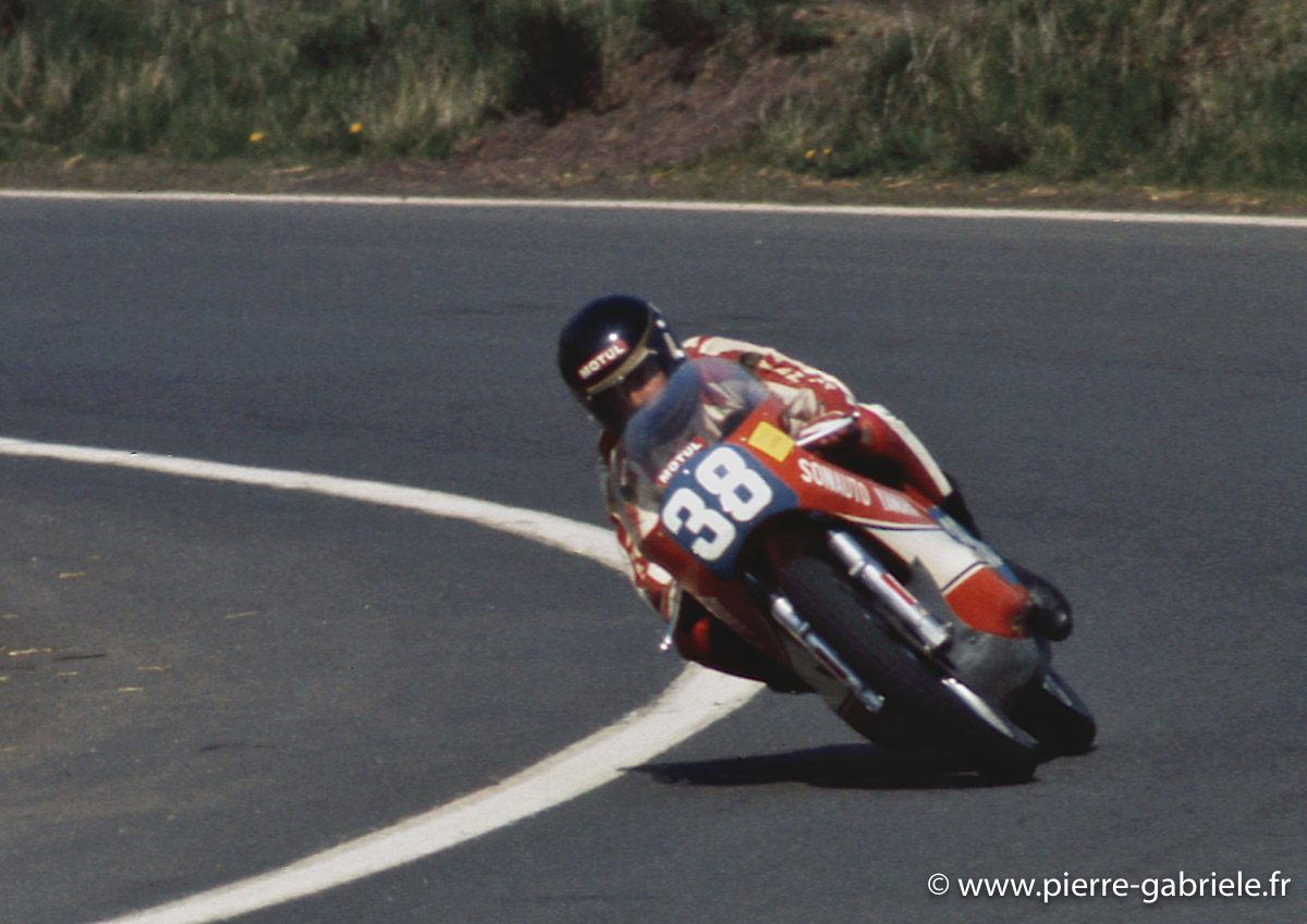 pons_d342.jpg