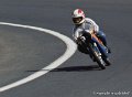 lazzarini_d260