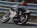 santos_d343
