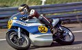 sheene