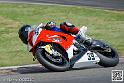 superbike_8979