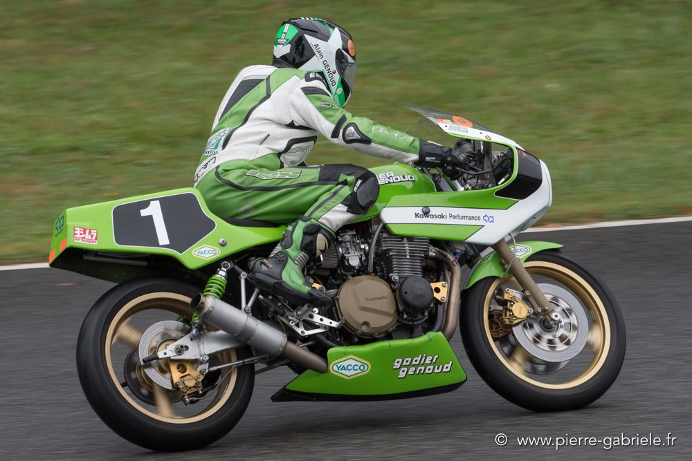 pmc-2017-d500_0055.jpg
