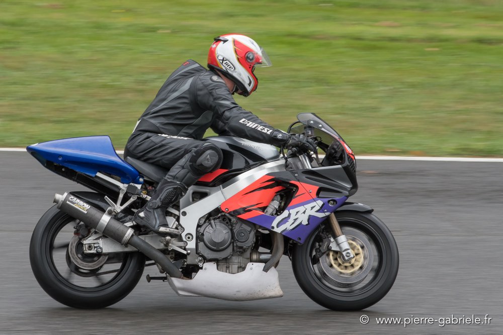 pmc-2017-d500_0077.jpg