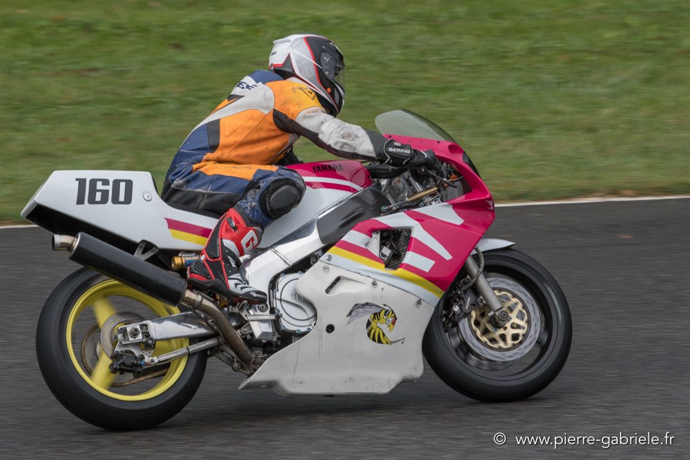pmc-2017-d500_0139.jpg