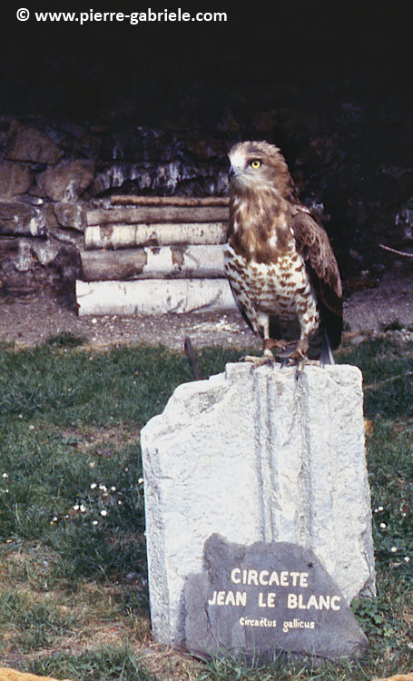 donjon_d050.jpg