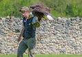 francois-pygargue-a74_02338