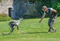 francois-serpentaire-a74_02410
