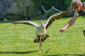 francois-serpentaire-a74_02412