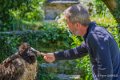 gypaete-francois-a74_02300