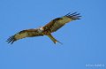 milan-royal-a74_02354