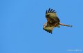milan-royal-a74_02442