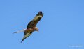 milan-royal-a74n_00982