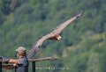 vautour-a74n_05673