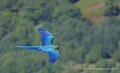 ara-a74n_06022