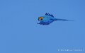 ara-a74n_06043