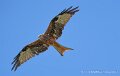 milan-royal-a74n_05907-Topaz