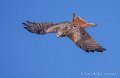 milan-royal-a74n_05919-Topaz