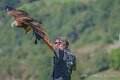 jloup-a74n_05886-Topaz