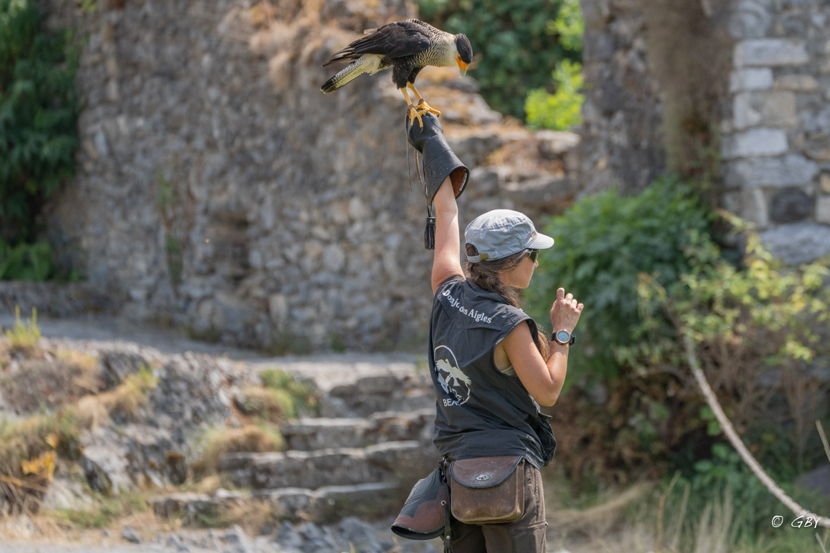 caracara-lea-A7V_02064.jpg