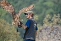 grand-duc-jeremy-A7V_02105