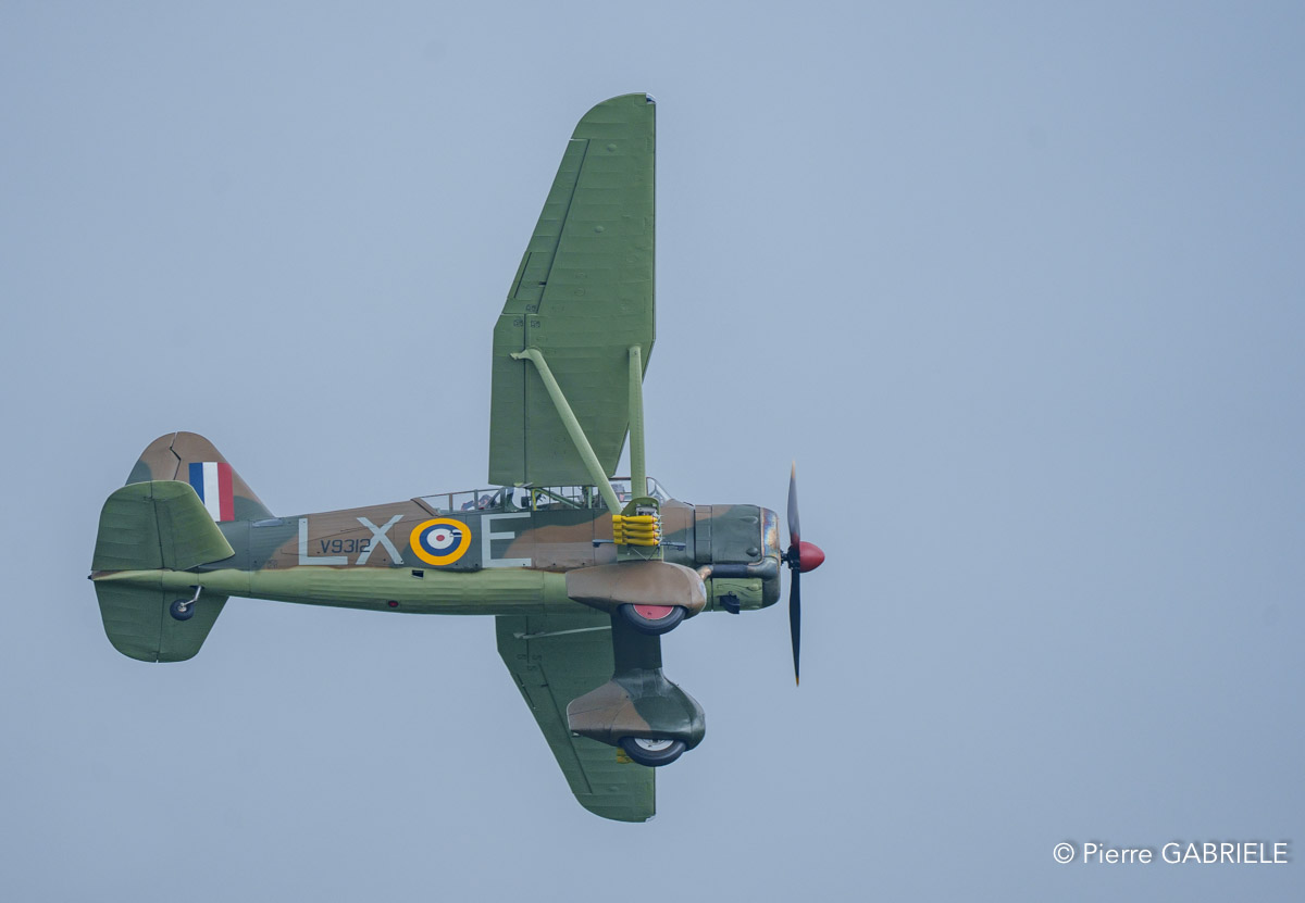 lysander-a74_04300.jpg