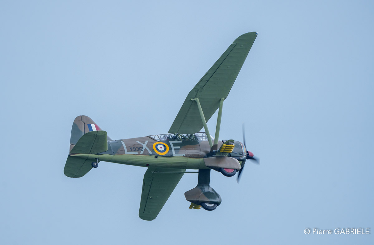 lysander-a74_04301.jpg