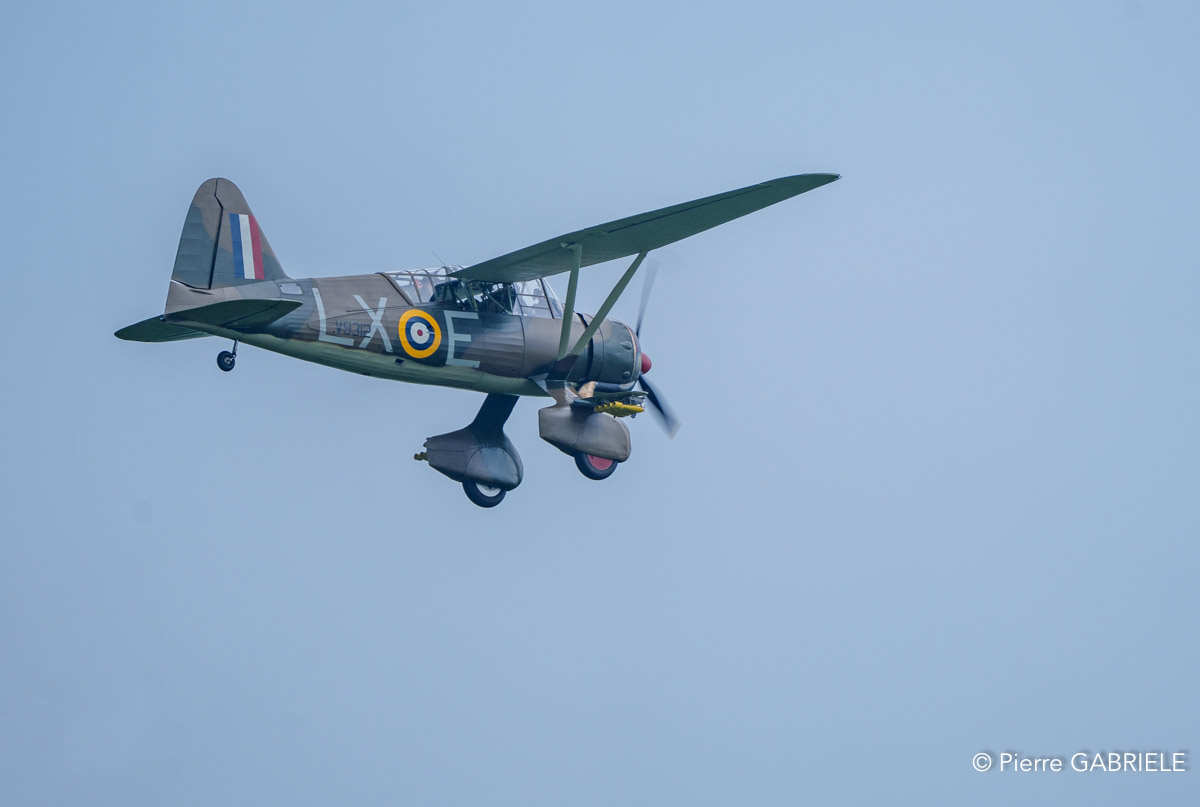 lysander-a74_04304.jpg