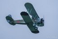 polikarpov-a74_04748