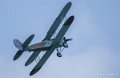 polikarpov-a74_04749