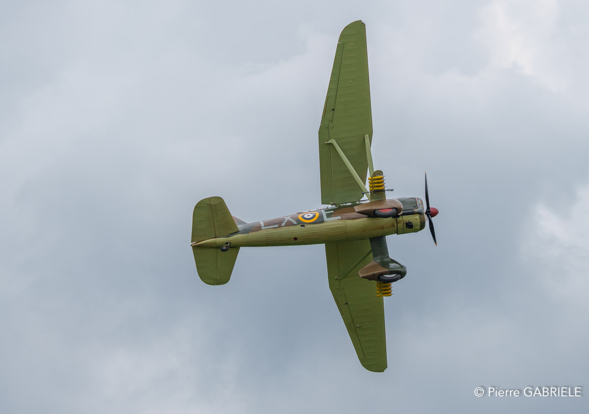 lysander-a74_03543.jpg