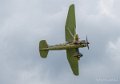 lysander-a74_03543