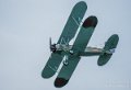 polikarpov-a74_03803