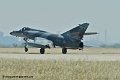 etendard_8898