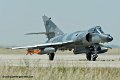 etendard_8908