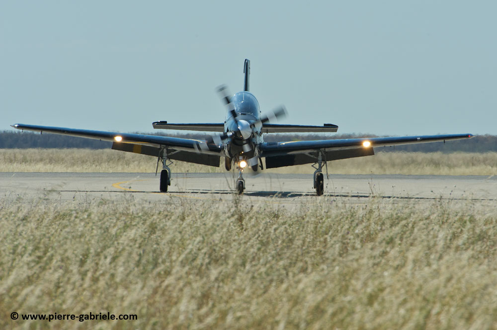 tucano_9013.jpg