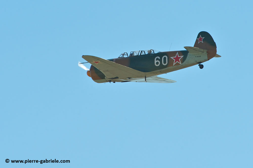 yak11_9112.jpg