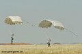parachutistes_9243