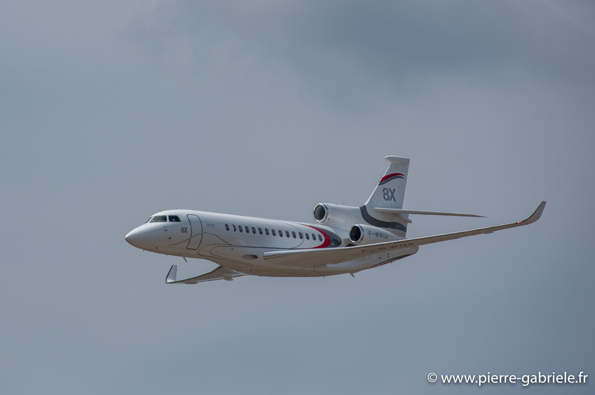 falcon-8x_3626.jpg