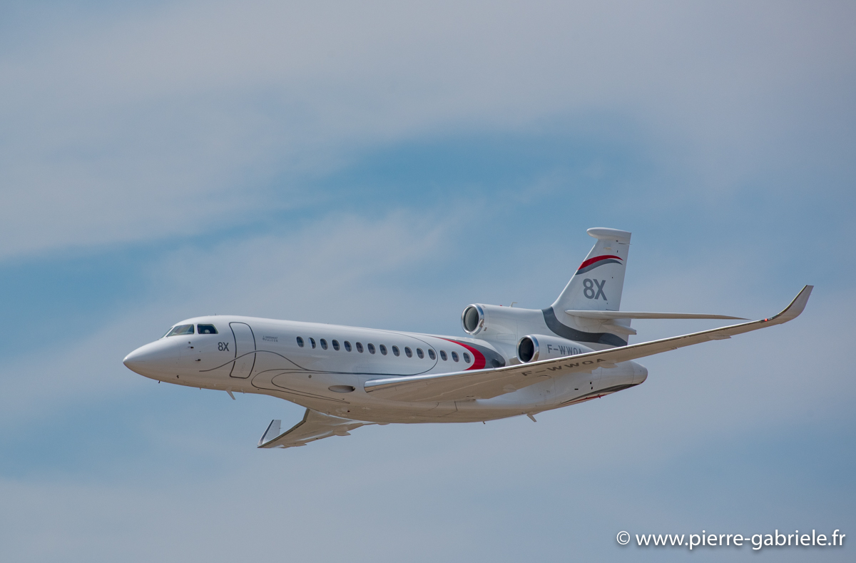 falcon-8x_3627.jpg