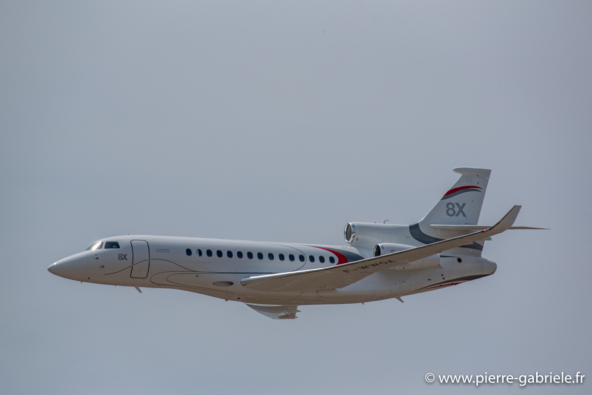 falcon-8x_3629.jpg