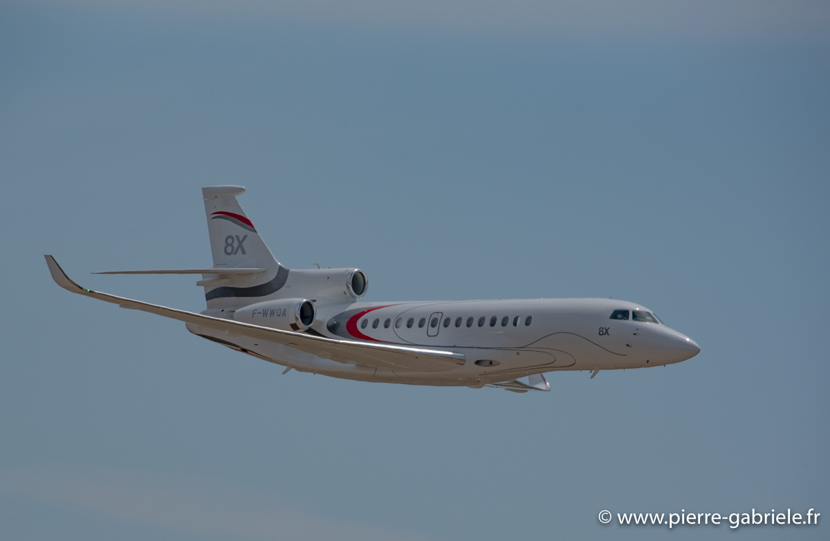 falcon-8x_3635.jpg
