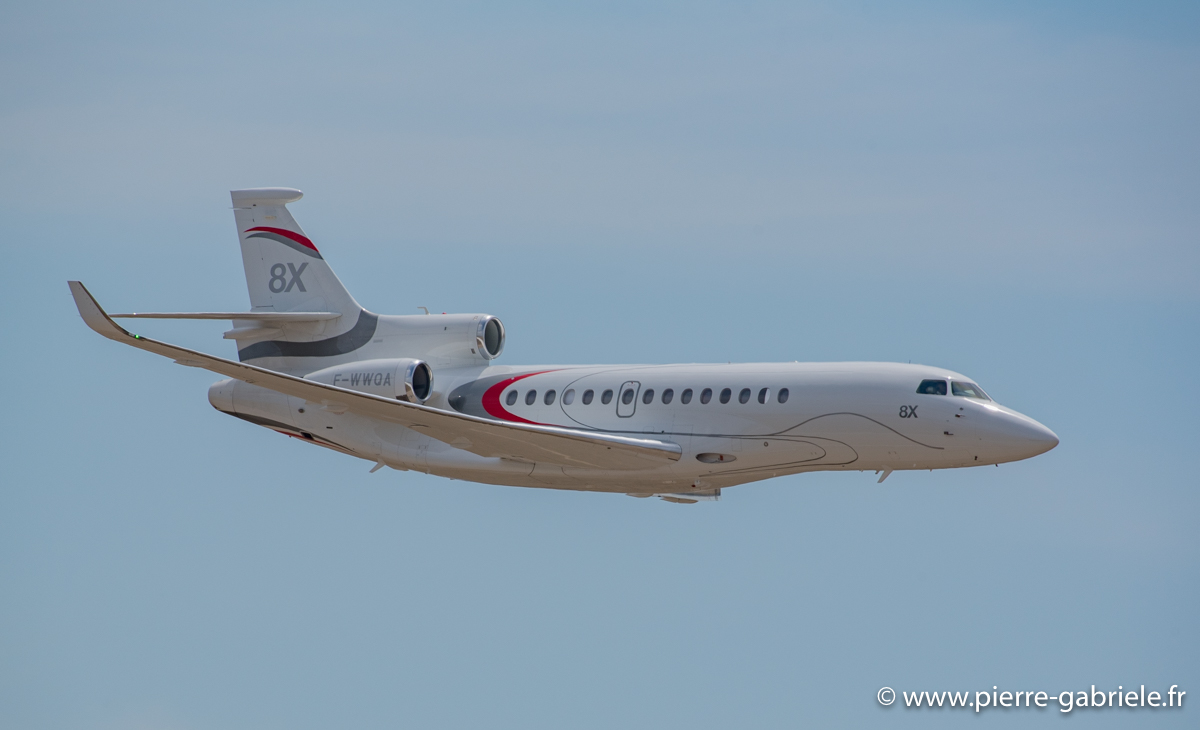 falcon-8x_3636.jpg